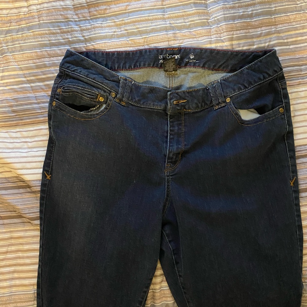 Lane Bryant Jeggings